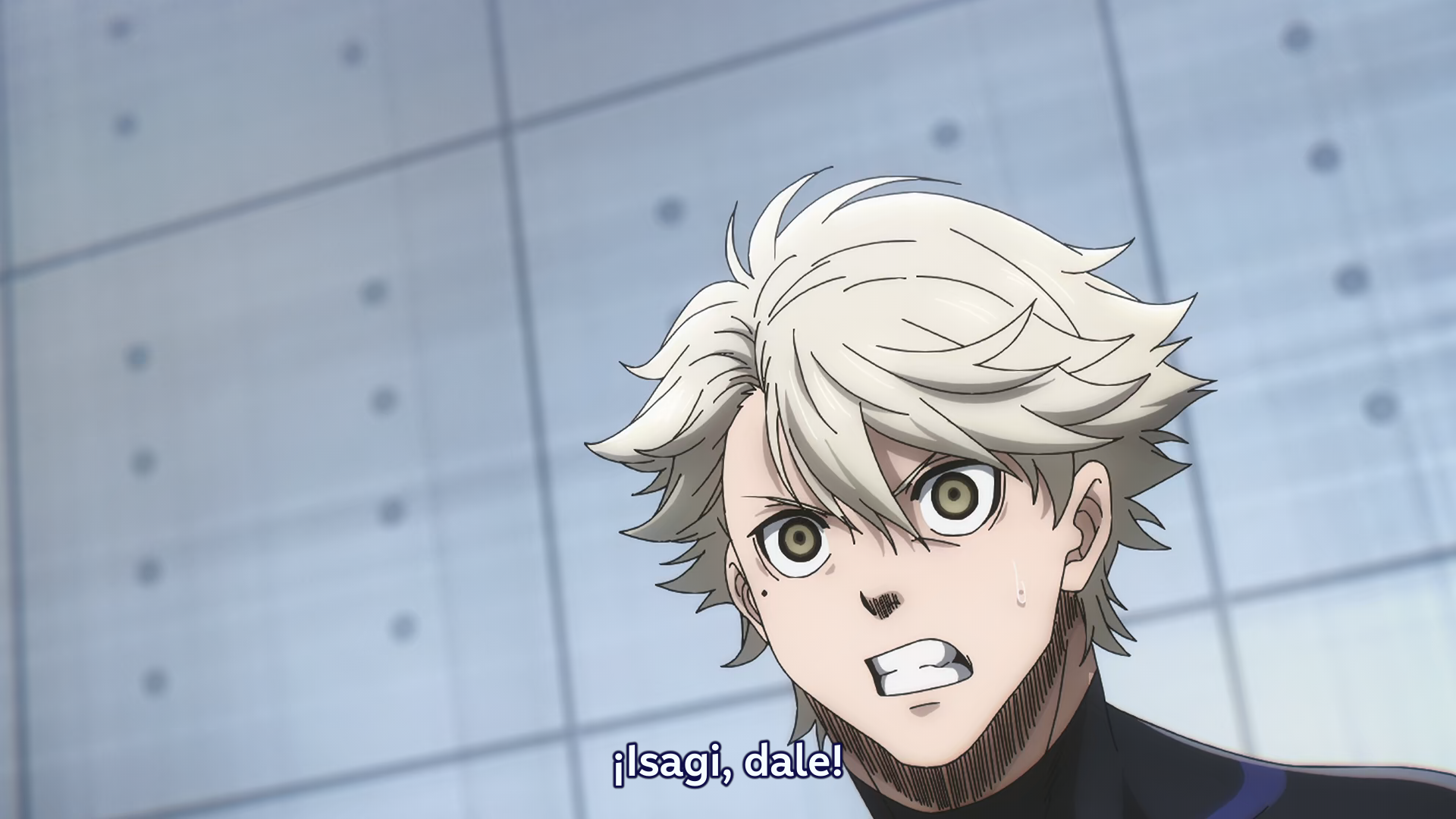 Blue Lock (BD) (Ñyuum)